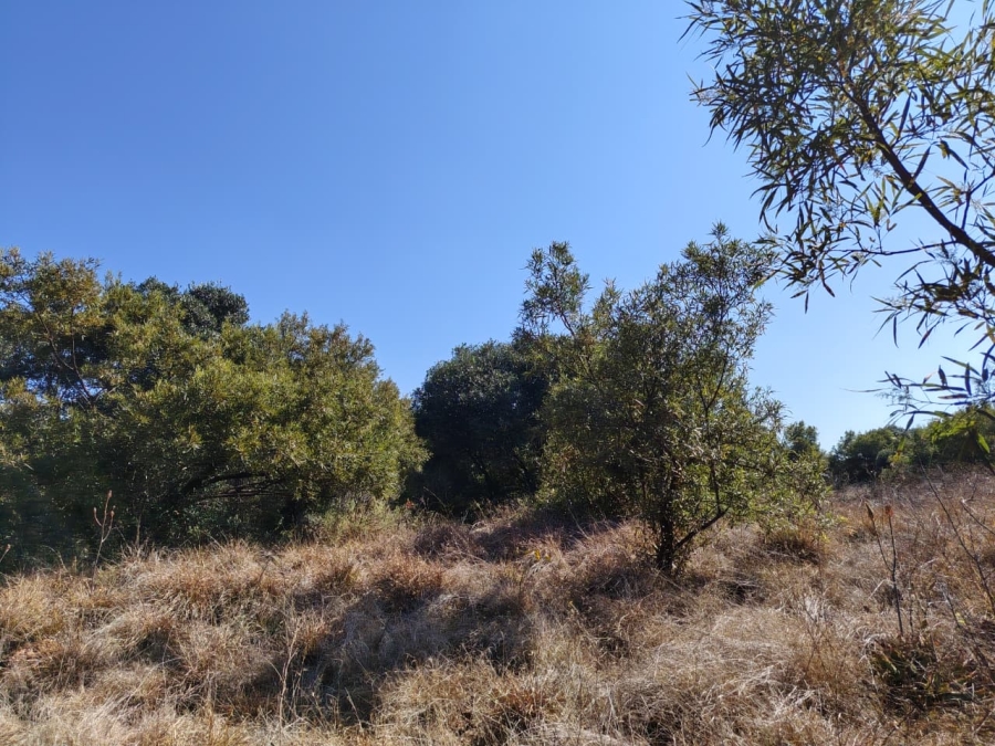 Commercial Property for Sale in Swartruggens North West